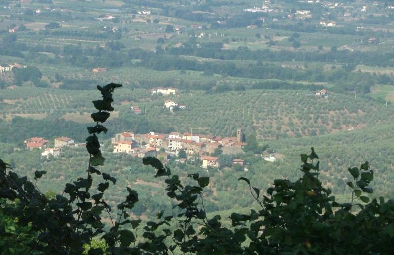 Podere Calistri Larciano エクステリア 写真