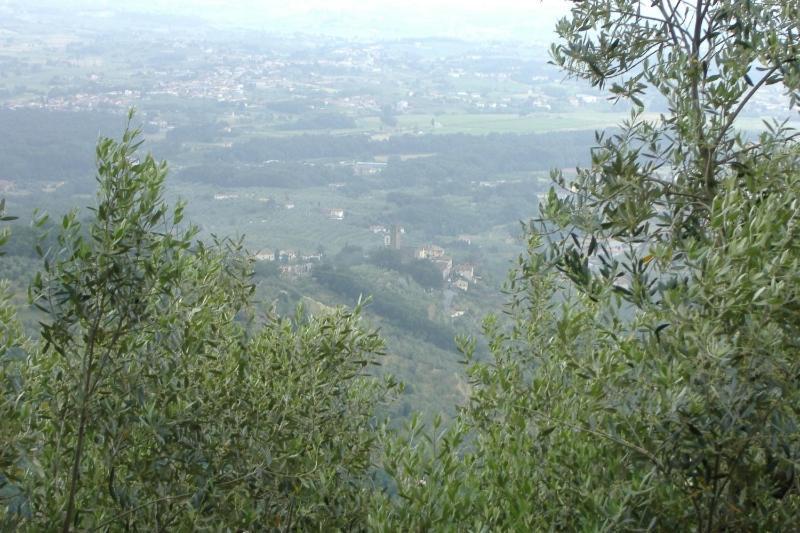 Podere Calistri Larciano エクステリア 写真